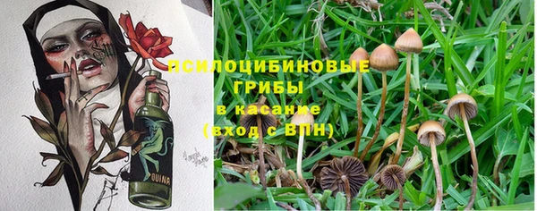дурь Верея